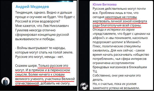 Скриншот ТГ-каналов «Андрей Медведев» и «Юлия Витязева»