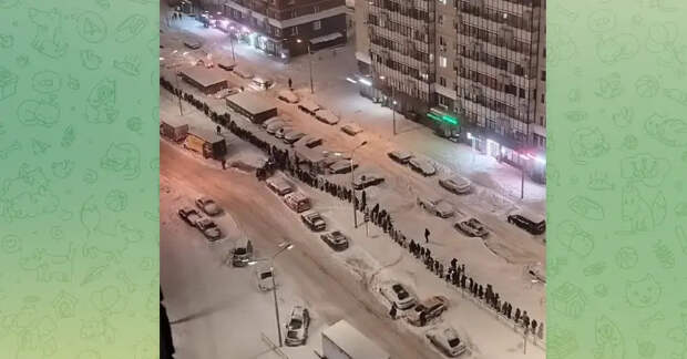 В Подмосковье создан штаб для ликвидации очередей на автобусы