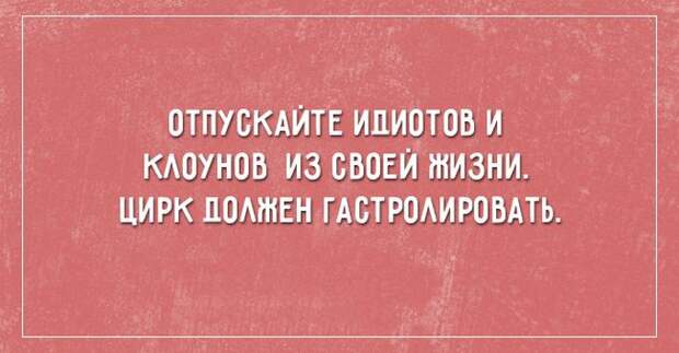 26 саркастичных открыток о жизни открытки, юмор