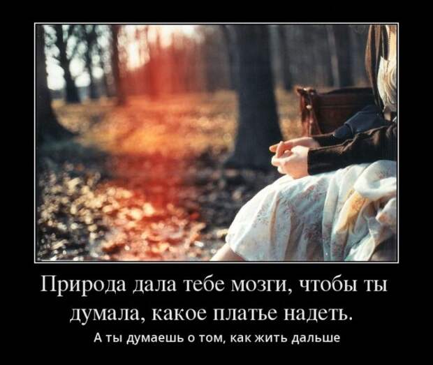 Демотиваторы (30 фото)