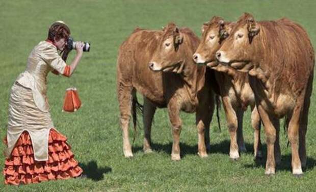 Идиотизм в картинках