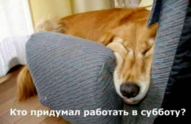 LQCAVuqkdXg