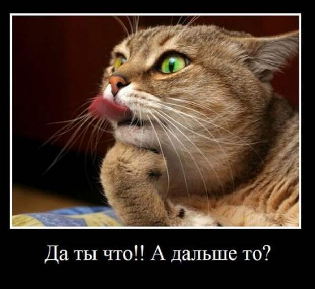 Мои демотиваторы, оцените творчество.