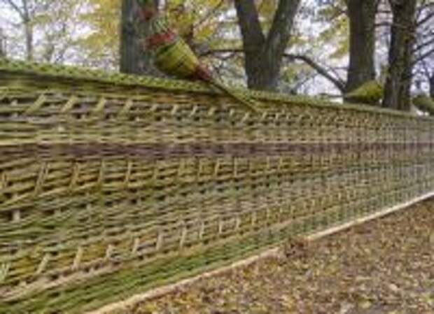 Плетеный забор2
