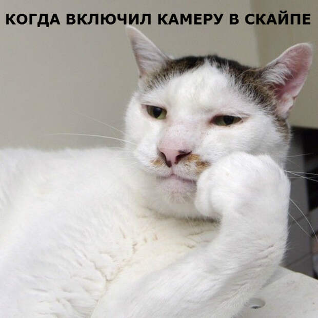 3832695_original (600x600, 236Kb)