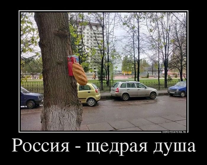 Демотиваторы  демотиваторы, прикол, смех, юмор