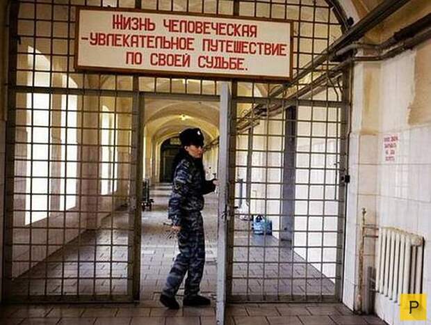 Забавные объявления и реклама (27 фото)