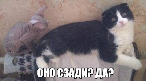 70 демотиваторы, прикол, юмор