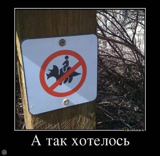 Деградируй правильно! 29
