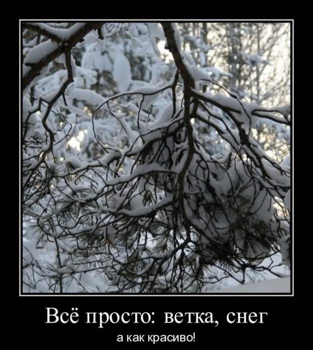 Зимние демотиваторы