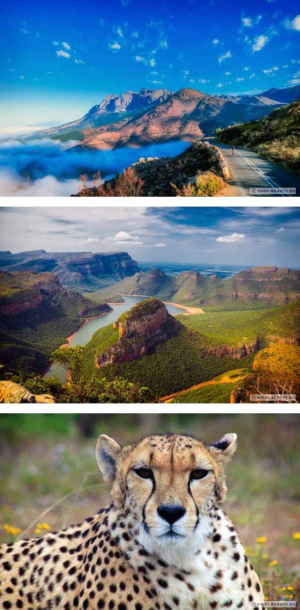 Природа ЮАР (CC0)