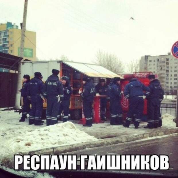 Прикольные картинки (35 шт)