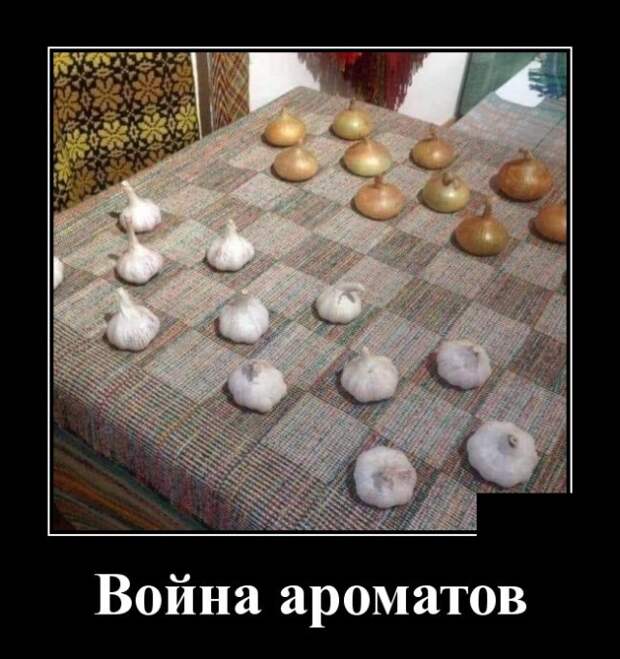 www.vsyako.net