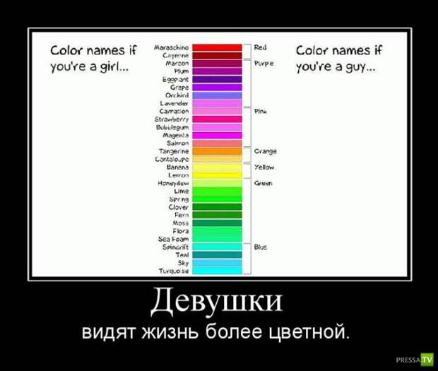 Демотиваторы на июнь, часть 7 (45 фото)