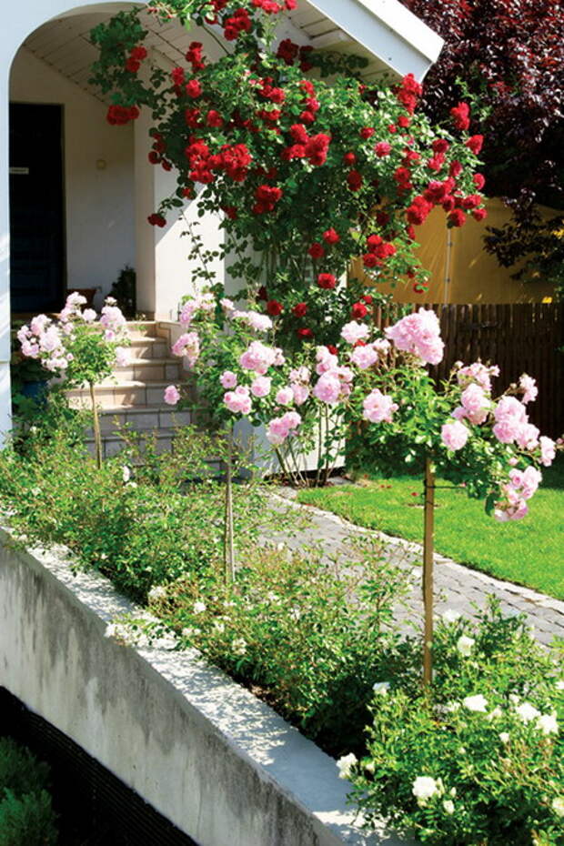 4497432_rosesingardeninspiration35 (450x675, 180Kb)