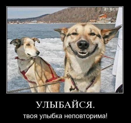 демотиваторы новые смешные.
