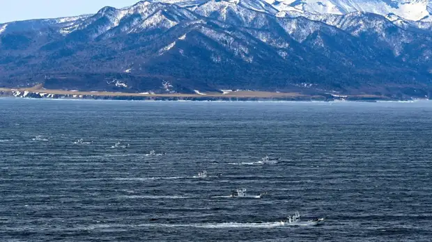 В Японии нашли ребёнка в районе исчезновения круизного судна KAZU 1