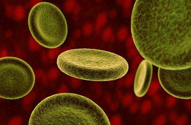 Фото: maxisciences.com 