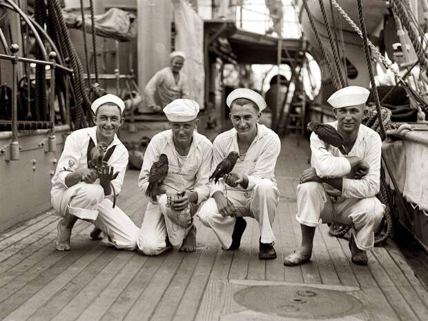 Матросы ВМС США и их питомцы (1923 год) авто, олдтаймер, ретро фотографии, старинные автомобили