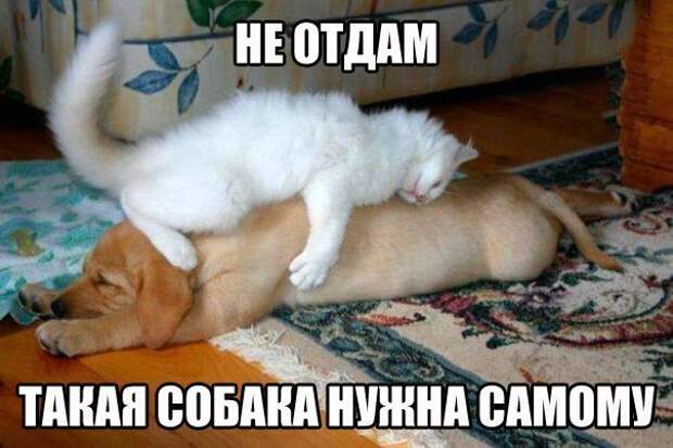Всяко - разно 45 ))) Всяко - разно 45 )))