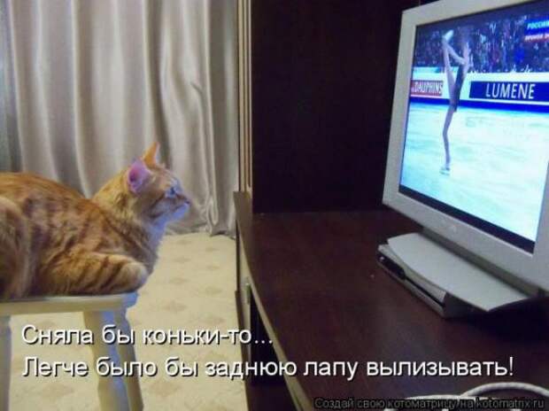Котоматрицы (картинки с надписями)