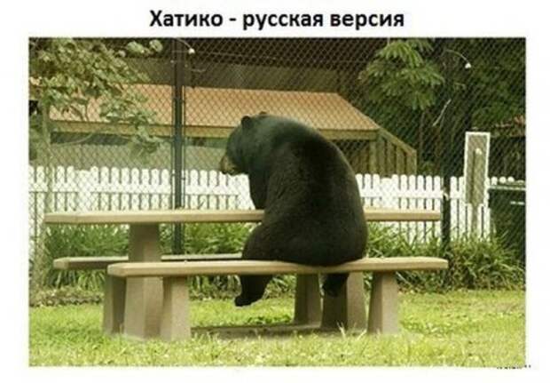 Смешные картинки и фото в понедельник (50 шт)