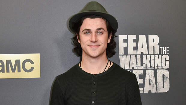 David Henrie Arrested