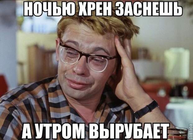 Картинки со смешными подписями