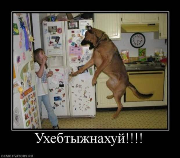 Смешные демы за неделю.