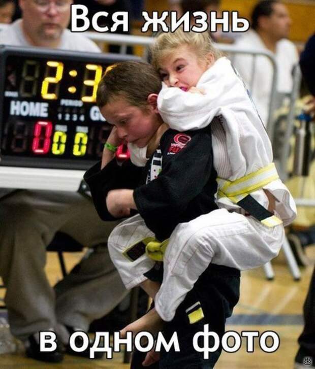 Курьёзы с разных концов света 5