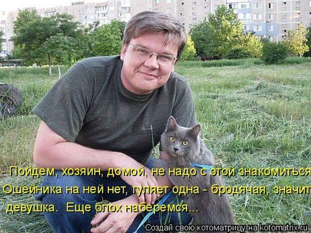 Лучшие котоматрицы недели