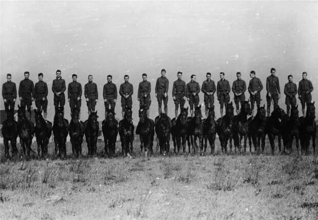 Британские кавалеристы стоящие на своих лошадях, 1919 год Британские кавалеристы стоящие на своих лошадях, 1919 год знаменитости, история, редкие кадры, фото