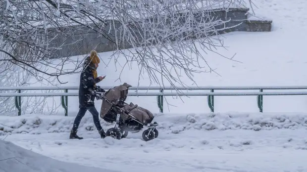 Депутат Стенякина высказалась по поводу идеи помочь многодетным семьям с услугами нянь