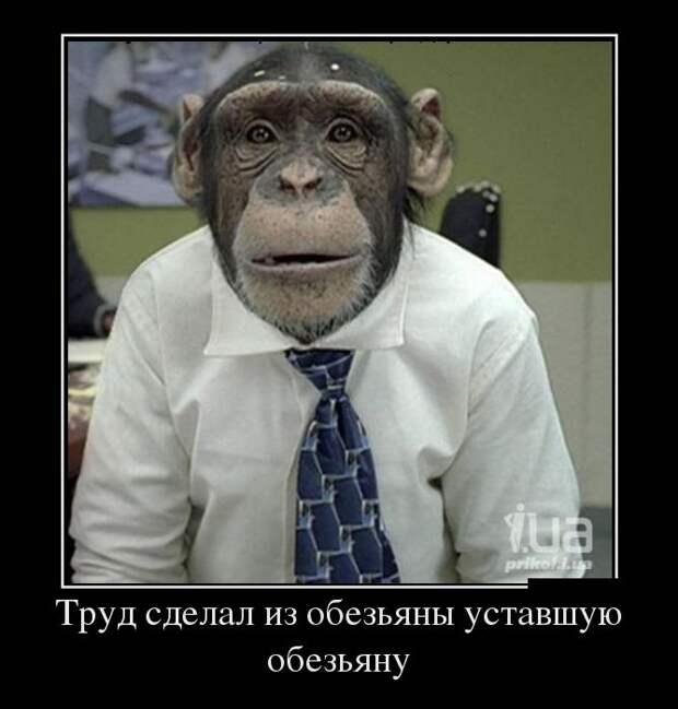 Демки