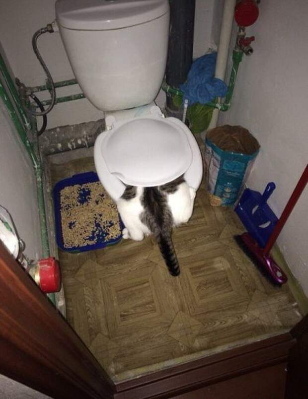 Когда всё пошло не по плану