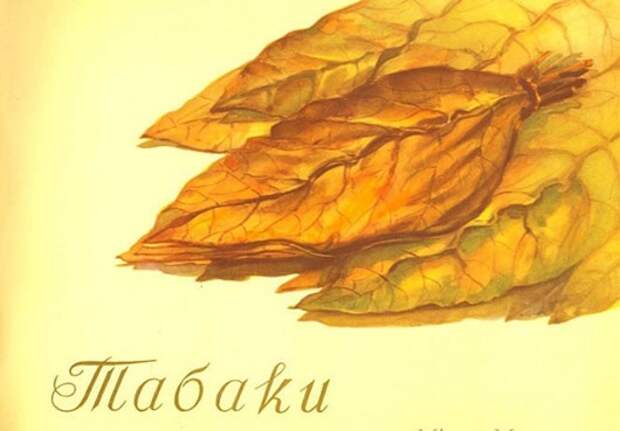 clip_image026