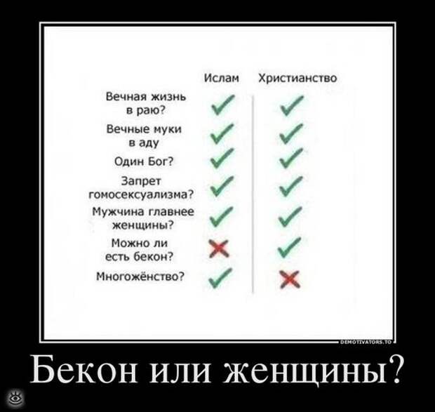 Удачные демотиваторы 18