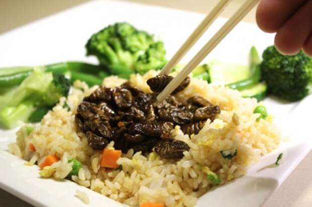 Очень простая и доступная кулинария для похудения 