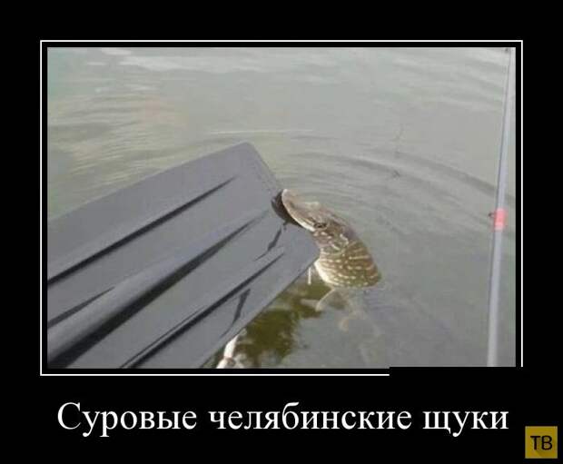 Подборка демотиваторов 15.07.2014 г (32 фото)