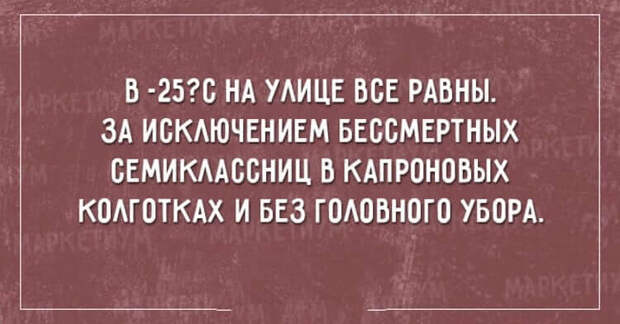 https://cdn2.umbrella.green/wp-content/uploads/2017/01/13-30.jpg