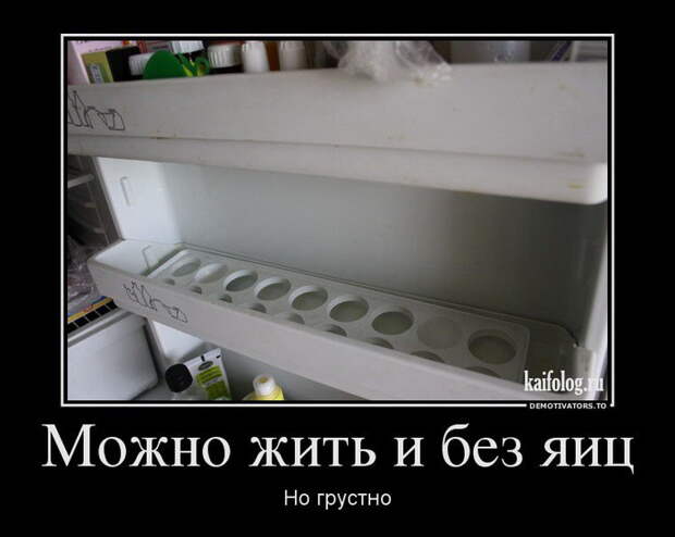 Демотиваторы - 137 (50 фото)