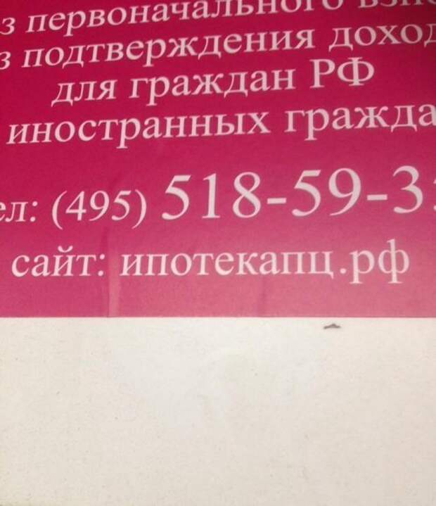 Идиотские надписи и реклама - прикольные картинки Идиотские надписи и реклама - прикольные картинки