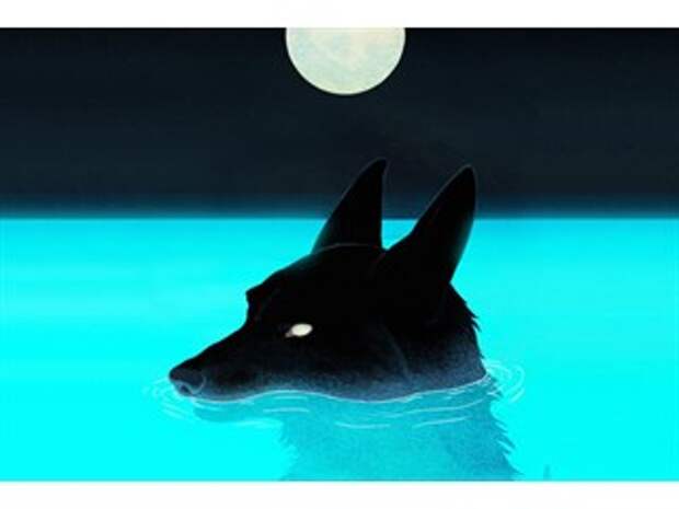 Стада медведей сменили на волчьи стаи