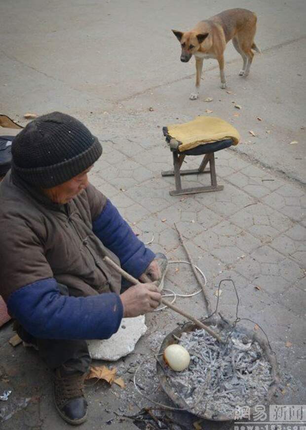 Преданность: большая Жёлтая Собака Преданность: большая Жёлтая Собака животные, преданность, собака