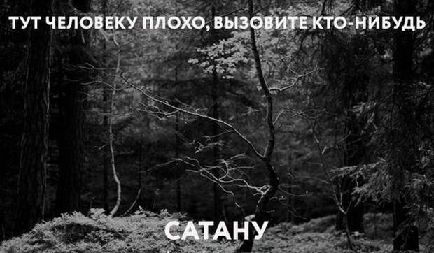 Смешные картинки с подписями Смешные картинки с подписями картинки, юмор