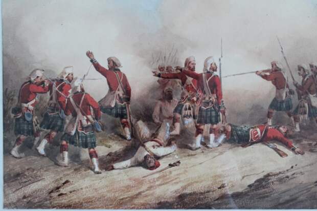 Шотландские горцы /Фото:blog.nms.ac. Шотландские горцы /Фото:blog.nms.ac.