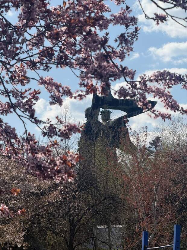 Донецкая группа новостей, Донецк ДНР