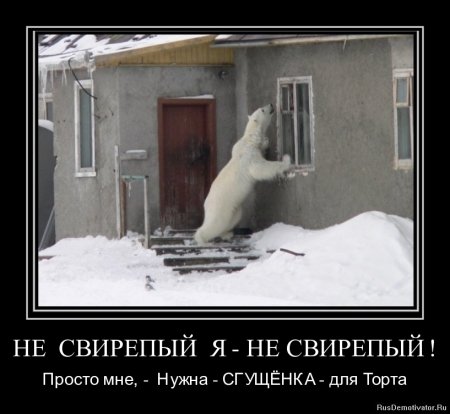 Приколы демотиваторы, смешные надписи и фото.