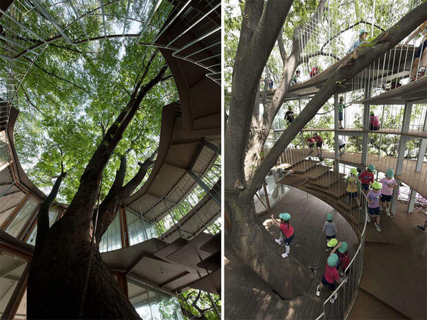 kindergarten-around-tree-zelkova-fuji-tezuka-architects-32