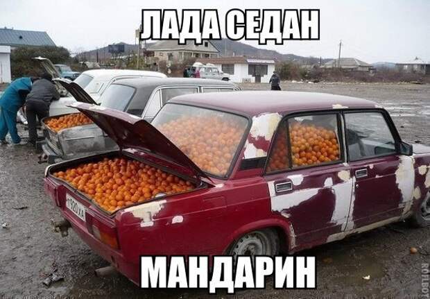 Смешные картинки с надписями прикол, юмор